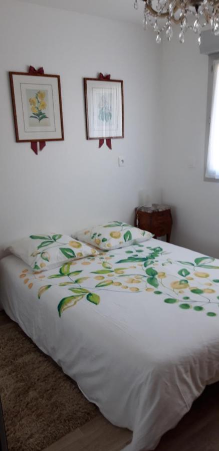 Pour Visiter Ou Travailler Dans Le Loiret Apartment Saint Jean de Braye Bagian luar foto