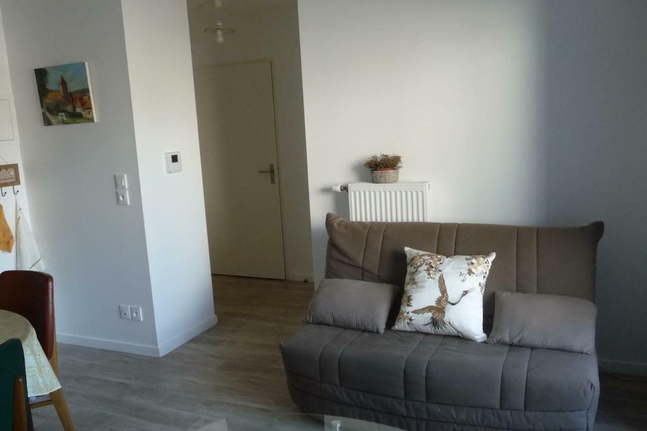 Pour Visiter Ou Travailler Dans Le Loiret Apartment Saint Jean de Braye Bagian luar foto